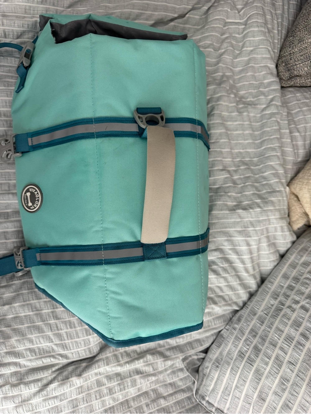 Aqua Teal Dog Life Jacket with Reflective Straps